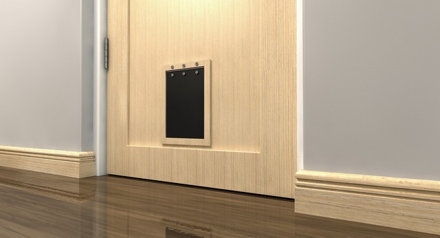 Cat Flap Installation Hampton Hill, Hampton, TW12