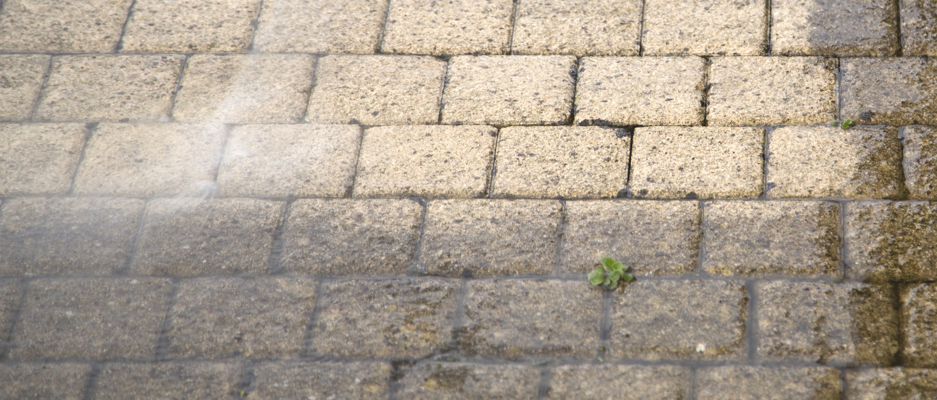 flagging and patios TW12