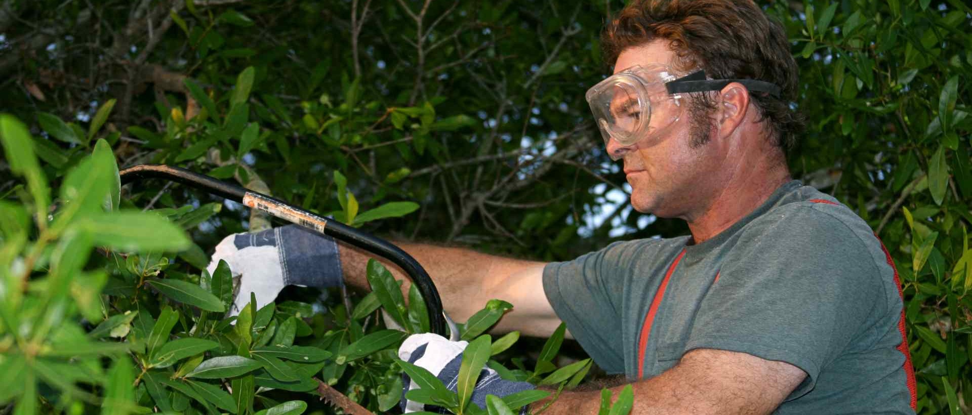 garden clearance TW12